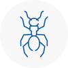 Ant Removals In Shepherds Bush