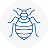 Bed Bug Extermination In Shepherds Bush