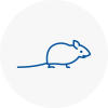 Mice Exterminators In Shepherds Bush