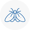 Moth Control Specialists In Shepherds Bush