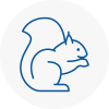 Shepherds Bush Rodent Removals